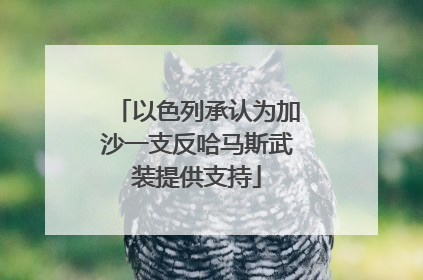 以色列承认为加沙一支反哈马斯武装提供支持