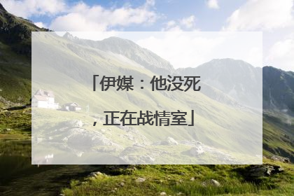 伊媒：他没死，正在战情室