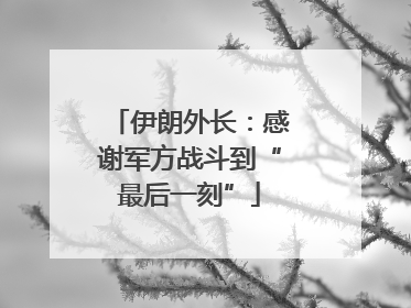 伊朗外长：感谢军方战斗到“最后一刻”