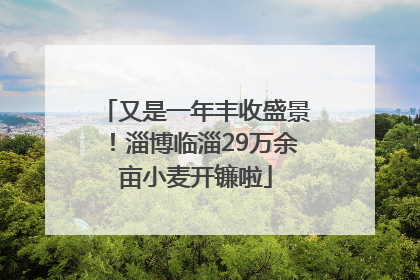 又是一年丰收盛景！淄博临淄29万余亩小麦开镰啦