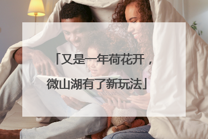 又是一年荷花开，微山湖有了新玩法