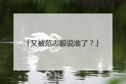 又被范志毅说准了？
