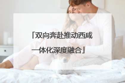 双向奔赴推动西咸一体化深度融合