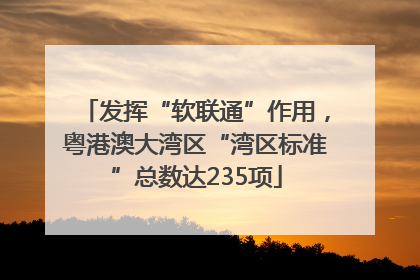 发挥“软联通”作用，粤港澳大湾区“湾区标准”总数达235项