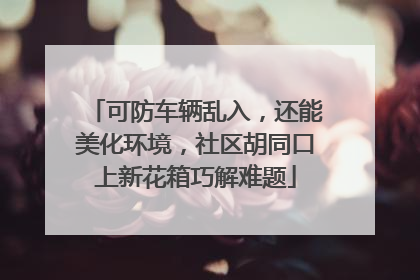 可防车辆乱入，还能美化环境，社区胡同口上新花箱巧解难题