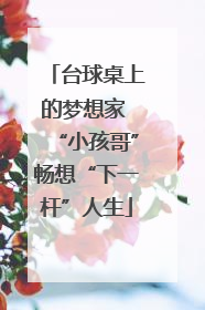 台球桌上的梦想家 “小孩哥”畅想“下一杆”人生