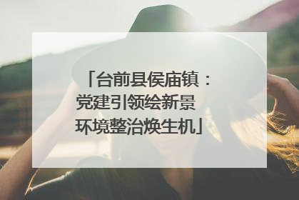 台前县侯庙镇：党建引领绘新景 环境整治焕生机