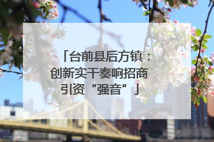 台前县后方镇：创新实干奏响招商引资“强音”