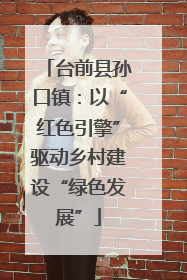 台前县孙口镇：以“红色引擎”驱动乡村建设“绿色发展”