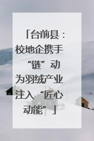 台前县：校地企携手“链”动 为羽绒产业注入“匠心动能”