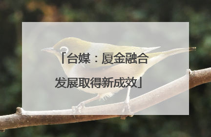 台媒：厦金融合发展取得新成效