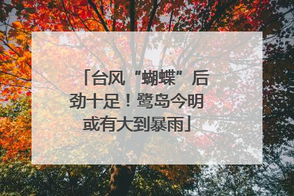 台风“蝴蝶”后劲十足！鹭岛今明或有大到暴雨