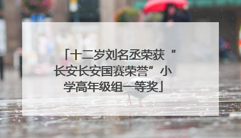 十二岁刘名丞荣获“长安长安国赛荣誉”小学高年级组一等奖