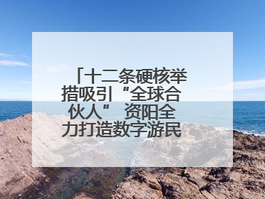 十二条硬核举措吸引“全球合伙人” 资阳全力打造数字游民友好型城市