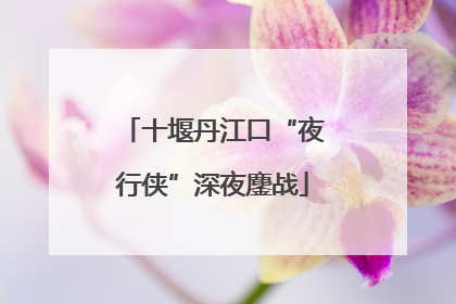 十堰丹江口“夜行侠”深夜鏖战