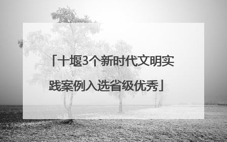 十堰3个新时代文明实践案例入选省级优秀