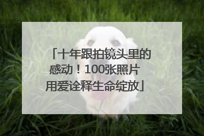 十年跟拍镜头里的感动！100张照片用爱诠释生命绽放