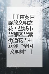 千亩葵园绽放文明之花！盐城市盐都区盐渎街道花吉村获评“全国文明村”