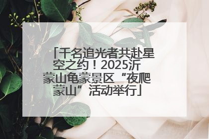 千名追光者共赴星空之约！2025沂蒙山龟蒙景区“夜爬蒙山”活动举行
