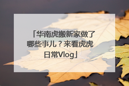 华南虎搬新家做了哪些事儿？来看虎虎日常Vlog