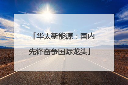 华太新能源：国内先锋奋争国际龙头