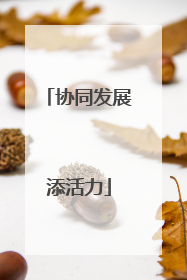 协同发展添活力