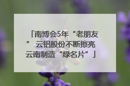 南博会5年“老朋友” 云铝股份不断擦亮云南制造“绿名片”