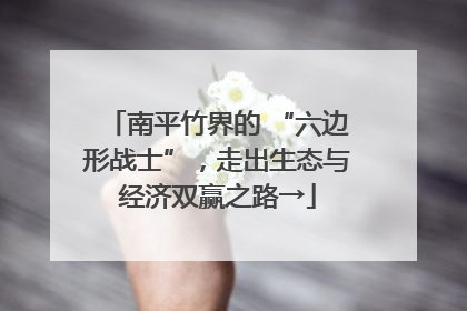 南平竹界的 “六边形战士”，走出生态与经济双赢之路→