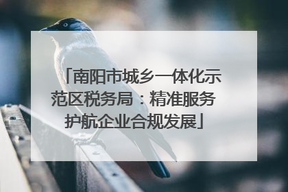 南阳市城乡一体化示范区税务局：精准服务护航企业合规发展