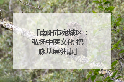 南阳市宛城区：弘扬中医文化 把脉基层健康