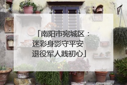 南阳市宛城区：迷彩身影守平安 退役军人践初心