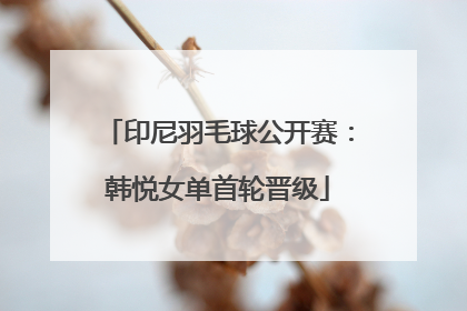 印尼羽毛球公开赛：韩悦女单首轮晋级