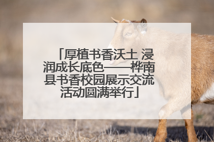 厚植书香沃土 浸润成长底色——桦南县书香校园展示交流活动圆满举行