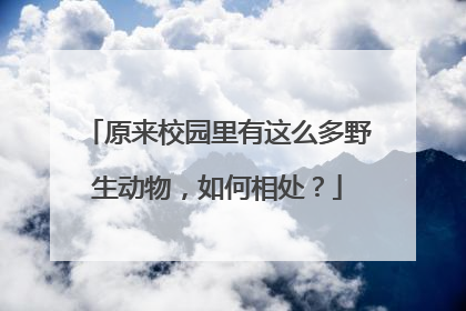 原来校园里有这么多野生动物，如何相处？