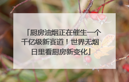 厨房油烟正在催生一个千亿级新赛道！世界无烟日里看厨房新变化