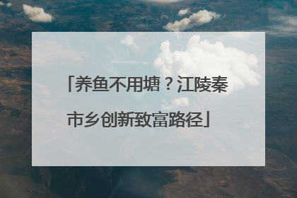 养鱼不用塘？江陵秦市乡创新致富路径