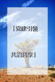 党建引领 共治共享