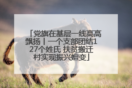 党旗在基层一线高高飘扬丨一个支部团结127个姓氏 扶贫搬迁村实现振兴嬗变