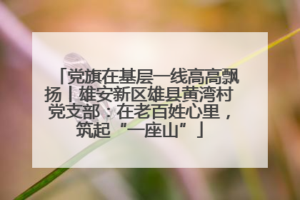 党旗在基层一线高高飘扬丨雄安新区雄县黄湾村党支部：在老百姓心里，筑起“一座山”