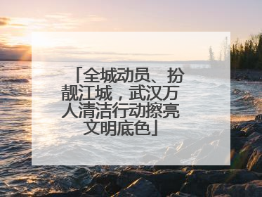 全城动员、扮靓江城，武汉万人清洁行动擦亮文明底色