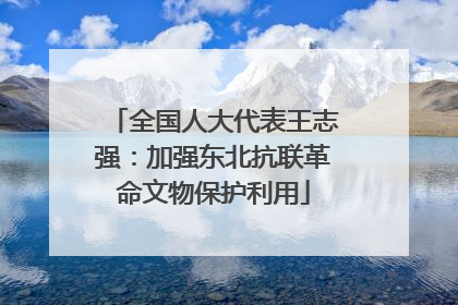 全国人大代表王志强：加强东北抗联革命文物保护利用