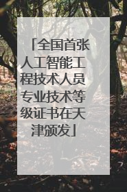 全国首张人工智能工程技术人员专业技术等级证书在天津颁发