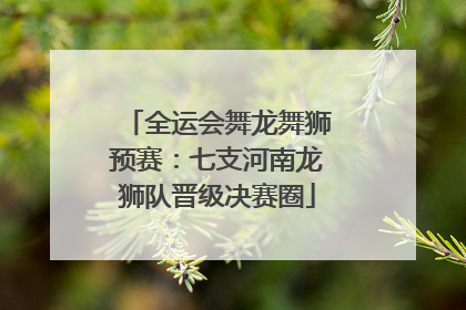 全运会舞龙舞狮预赛：七支河南龙狮队晋级决赛圈