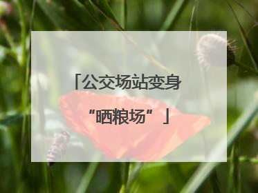 公交场站变身“晒粮场”