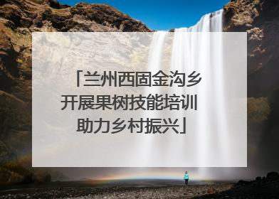 兰州西固金沟乡开展果树技能培训 助力乡村振兴