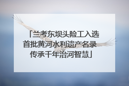 兰考东坝头险工入选首批黄河水利遗产名录 传承千年治河智慧
