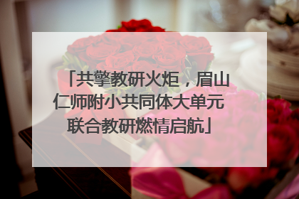 共擎教研火炬，眉山仁师附小共同体大单元联合教研燃情启航