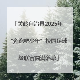 关岭自治县2025年“奔跑吧少年”校园足球三级联赛圆满落幕