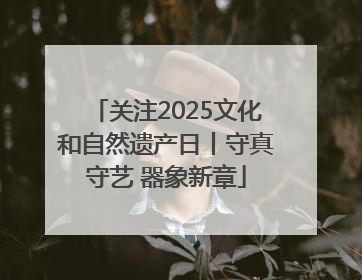 关注2025文化和自然遗产日丨守真守艺 器象新章