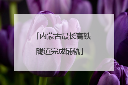 内蒙古最长高铁隧道完成铺轨